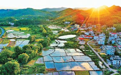 梦见父母回老家创业做什么好(梦见自己回老家创业) | 伯乐创业网