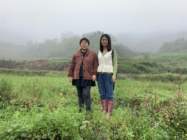 惠州淘宝培训（惠州淘宝村）