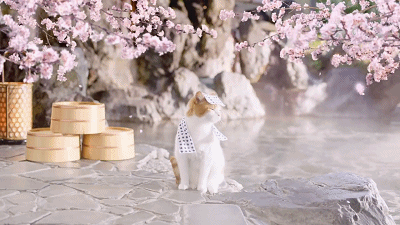 米作美白身体乳怎么样