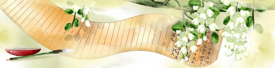 食养、食疗要分清