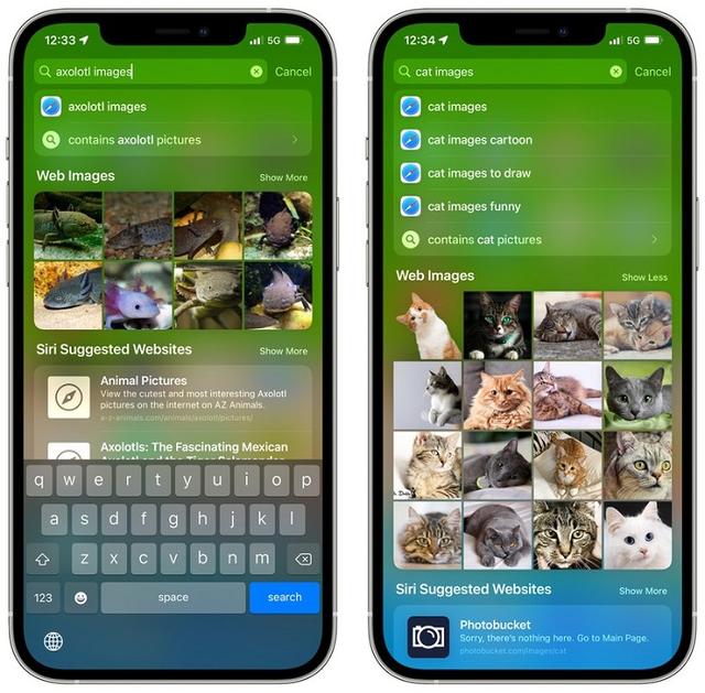 iOS 15搜索體驗大改進：涵蓋網圖、相冊、鎖屏訪問等更多內容