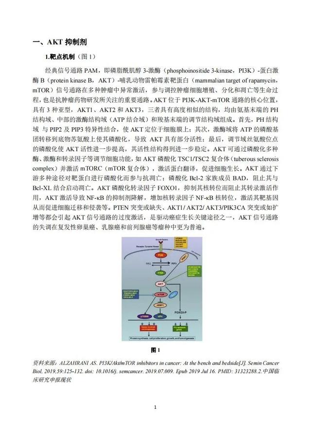 速覽 | 2020年度中國抗腫瘤新藥臨床研究評述