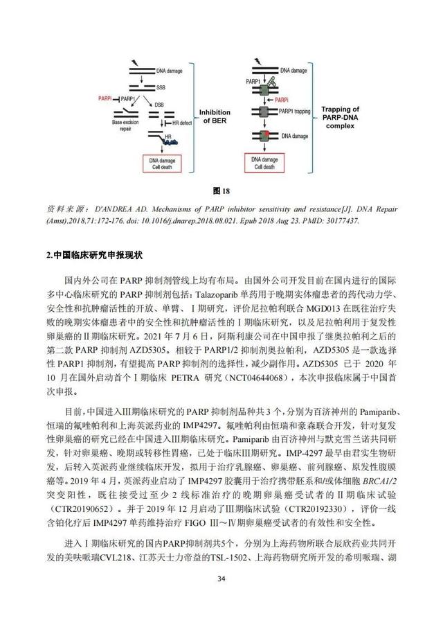速覽 | 2020年度中國抗腫瘤新藥臨床研究評述