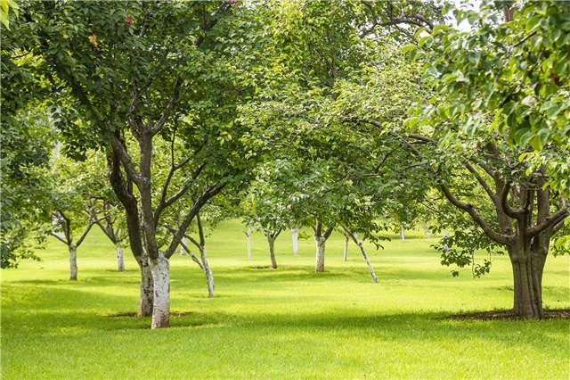 山東好景｜濟南植物園享受初秋的寧靜