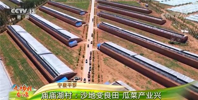 石嘴山筛沙洗砂机价格