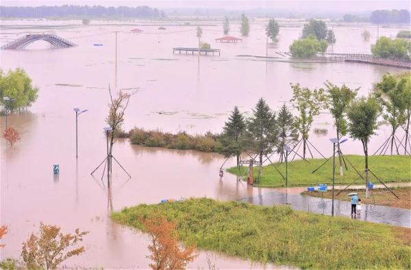 禁止靠近全文在线阅读(禁止靠近小说)