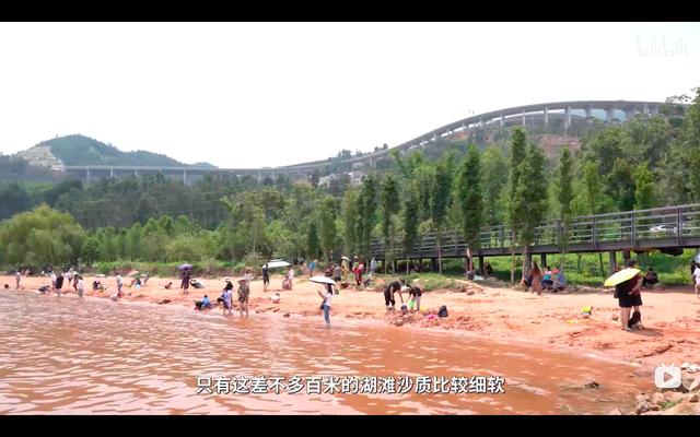 山东临沂木头破碎机厂