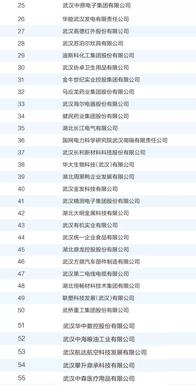 武汉企业