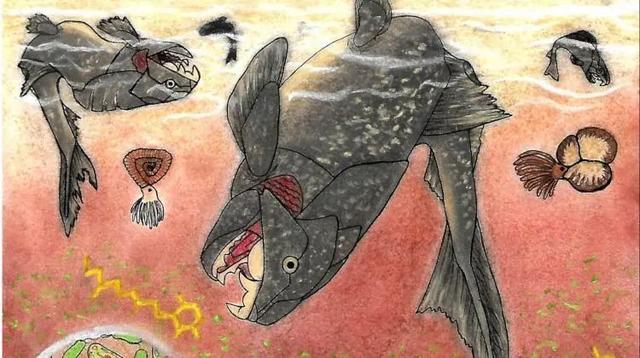 曲靖螺旋洗砂机采购