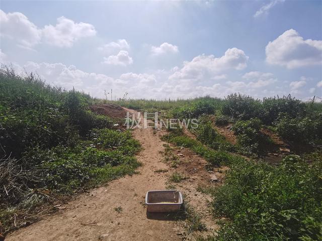 陕西滚筒洗砂机价格