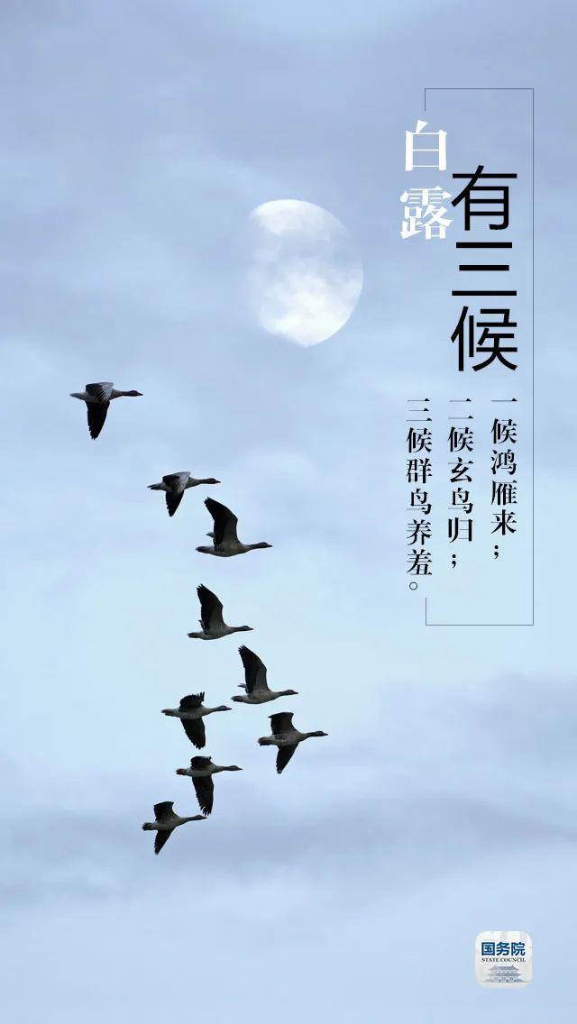 今日白露 | “露凝而白也”，仲秋时节开始了