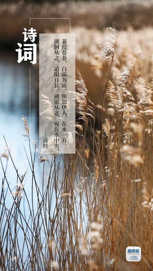 今日白露 | “露凝而白也”，仲秋时节开始了