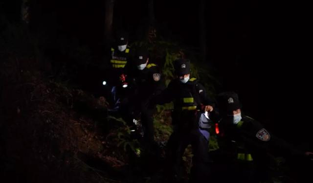 破防！眼镜蛇突袭，云南一警犬挡在民警身前不幸牺牲……