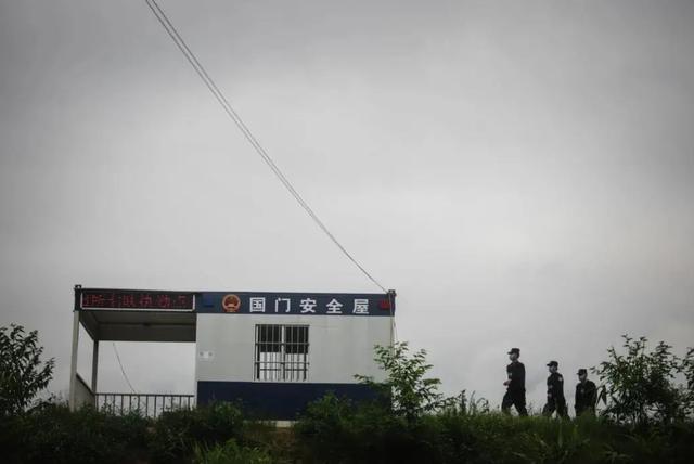 破防！眼镜蛇突袭，云南一警犬挡在民警身前不幸牺牲……