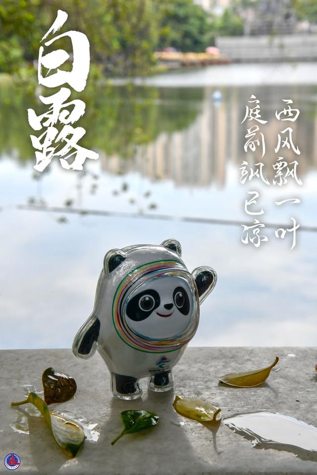 白露是什么时候的节气(白露节气的代表植物)