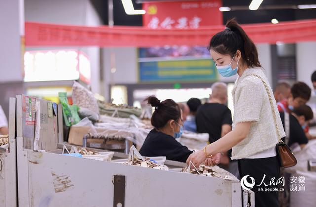 中药机械展亳州2021