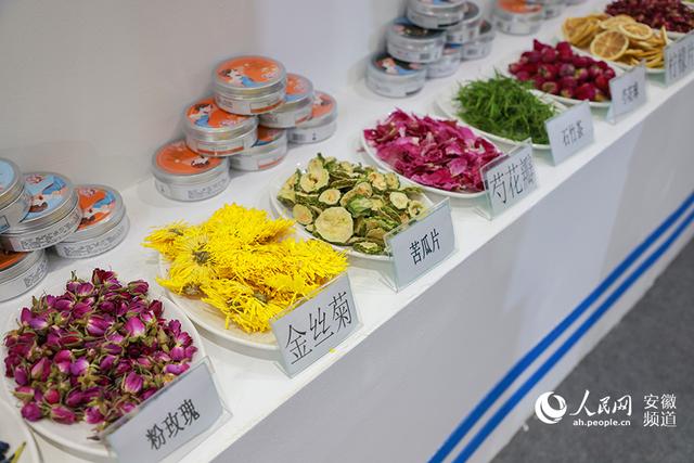 中药机械展亳州2021