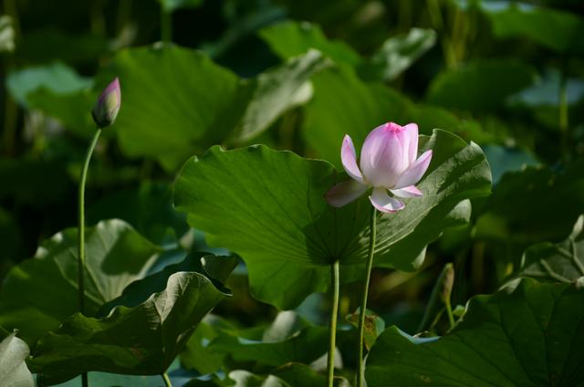 广州市城展工程