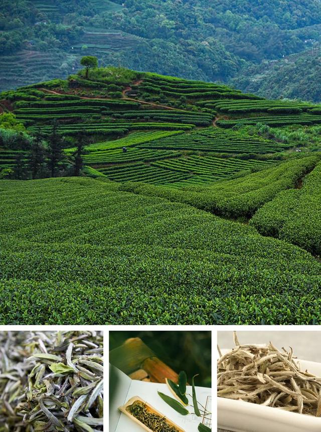 建瓯印刷机械展哪家好
