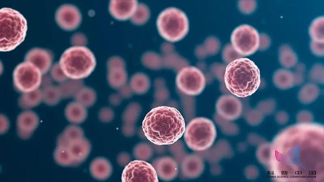 多人患癌都是“自找”的！肿瘤专家教你如何防癌→