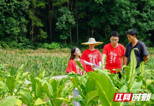 文新创展工程造价公司工资