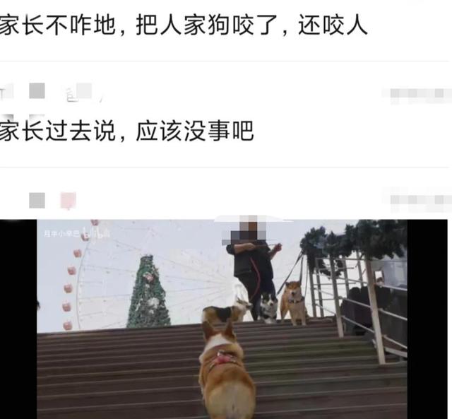 两个c对着是什么牌子