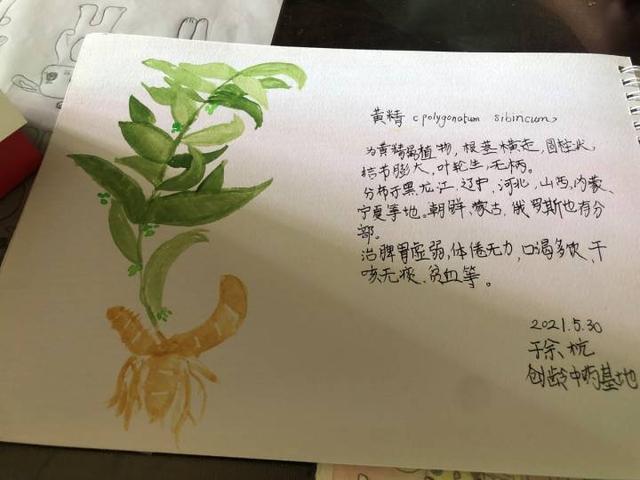 ​又是一个别人家的小孩！“八段锦”月饼见过吗？杭州10岁姑娘设计的