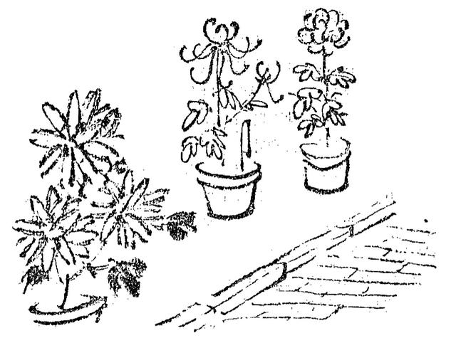 张家口制砂机大全