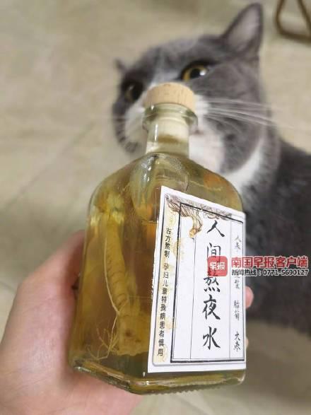 专家称熬夜水不能迅速恢复元气