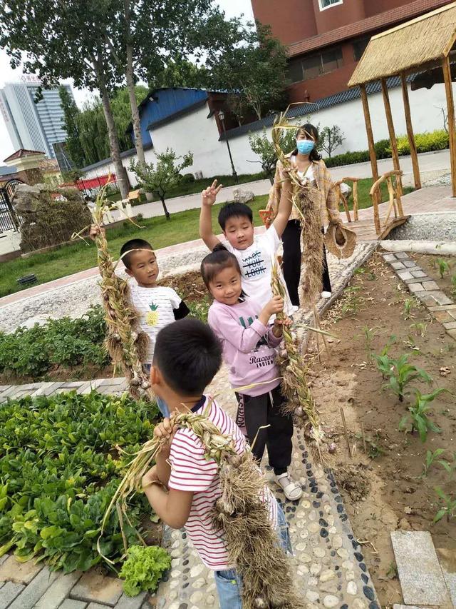 寿光圣城中学幼儿园：哪怕是一株狗尾草都是一个课程资源