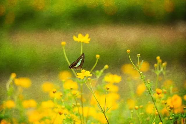半冷半暖秋分时，养阴润燥补精气
