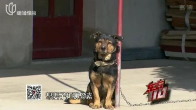 狗血！为留住40多岁新欢，上海七旬爷叔对20多年“老相好”痛下杀手