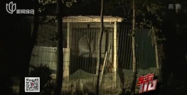 狗血！为留住40多岁新欢，上海七旬爷叔对20多年“老相好”痛下杀手