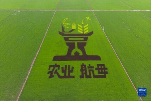 纪念小康工程山东主题展观后感