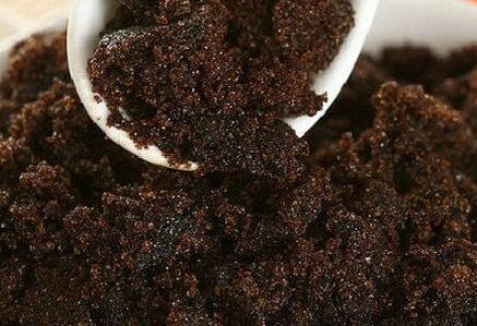 冰糖白砂糖哪个好（白糖、冰糖、红糖、黑糖的区别）