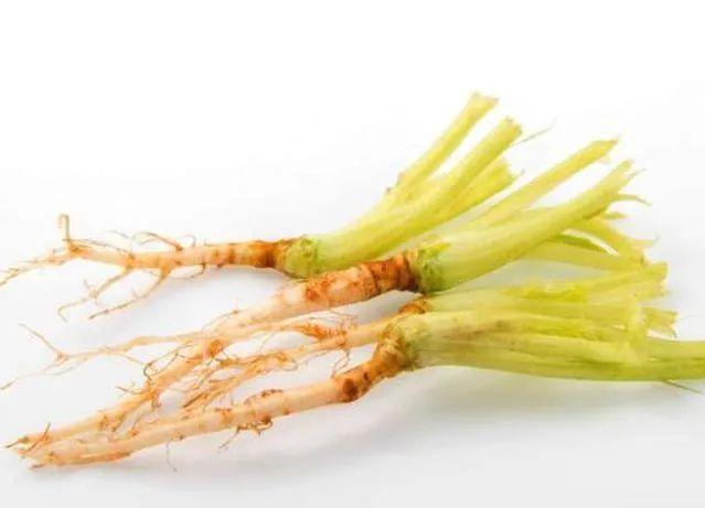 妊娠呕吐很辛苦，推荐几款孕妇可以吃的防吐食疗方