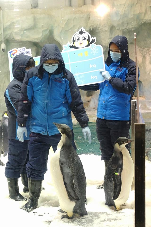 桂平智能机械展