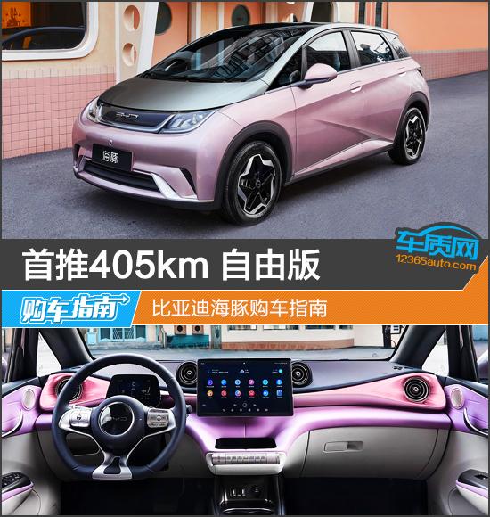 首推405km  自由版 比亚迪海豚购车指南