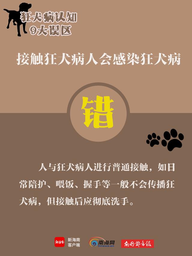 世界狂犬病日，带你了解狂犬病9大认知误区
