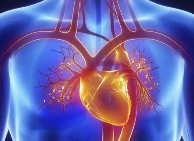 “世”说新语 | 心惊胆战：心和胆如何相互作用？调养心胆有多重要？