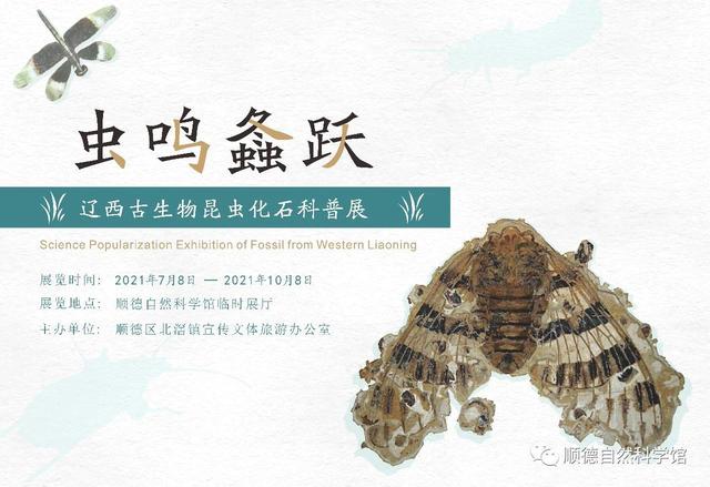 合浦二手粉碎制砂机