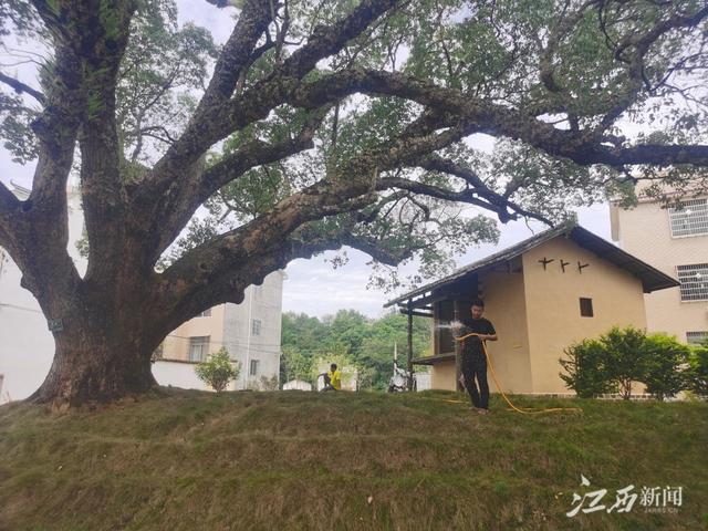 赣州河南移动青石制砂机