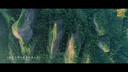 无锡洗砂机供应