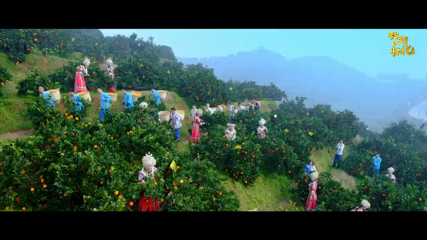 无锡洗砂机供应
