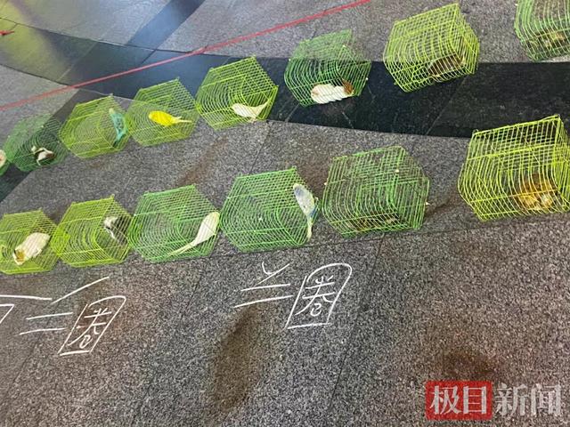 南宁街头有摊贩经营“活体宠物套圈”，当地市场监管部门已介入