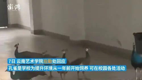 屁股尾巴骨处皮肤像鱼鳞一样