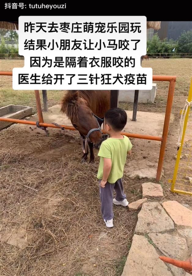 小马咬伤儿童后未予处置再次咬人？萌宠乐园：不是同一匹马