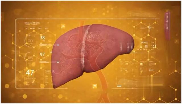 长期喝酒、熬夜太伤肝！这种药草，养肝降血脂