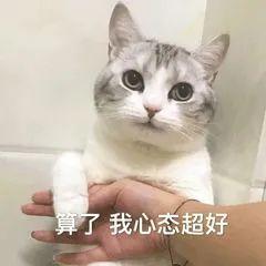 青岛拉丝油过滤机