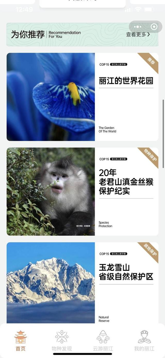 丽江机械展